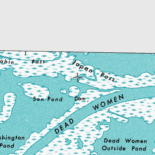 Topographic Map of Japan Pass, LA