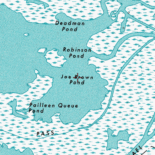 Topographic Map of Joe Brown Pond, LA