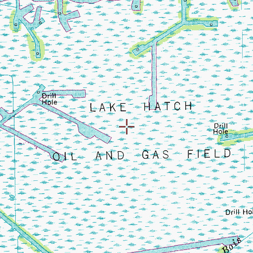 Topographic Map of Lake Hatch Oil and Gas Field, LA