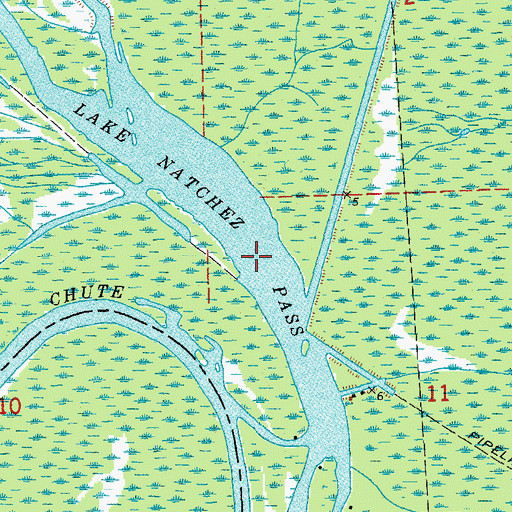 Topographic Map of Lake Natchez Pass, LA