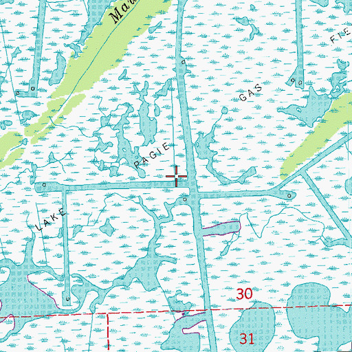 Topographic Map of Lake Pagie Gas Field, LA