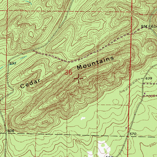 Topographic Map of Point Cedar Mountains, AR