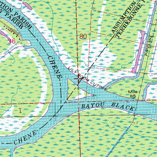 Topographic Map of Lily Boom Cutoff, LA