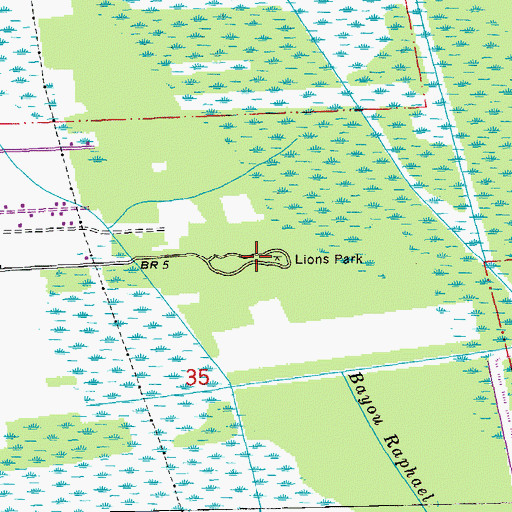 Topographic Map of Lions Park, LA