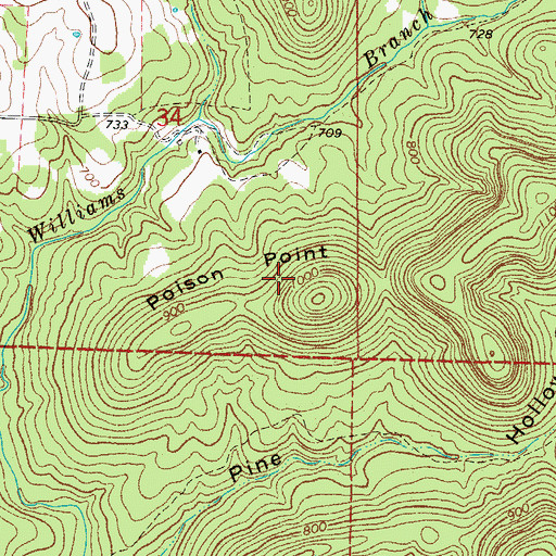 Topographic Map of Poison Point, AR