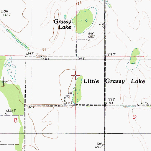Topographic Map of Little Grassy Lake, LA
