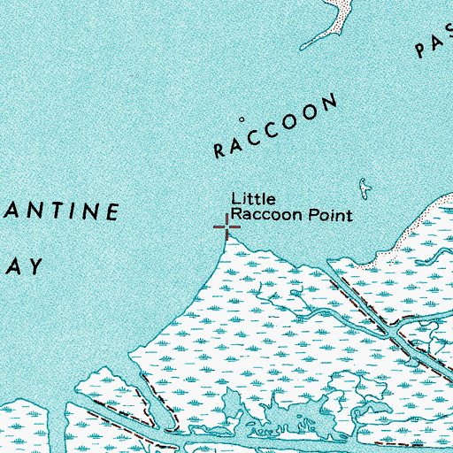 Topographic Map of Little Raccoon Point, LA