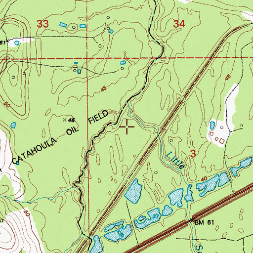 Topographic Map of Little Saline Bayou, LA