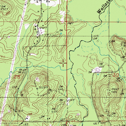 Topographic Map of Little Wallace Bayou, LA