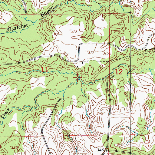 Topographic Map of Long Branch, LA