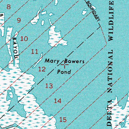 Topographic Map of Mary Bowers Pond, LA
