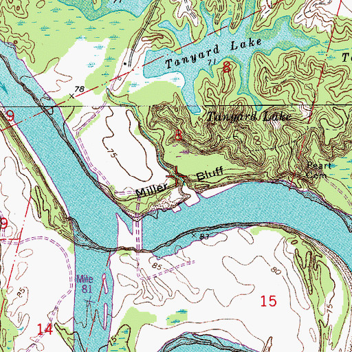 Topographic Map of Miller Bluff, LA