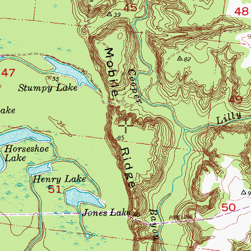 Topographic Map of Mobile Ridge, LA