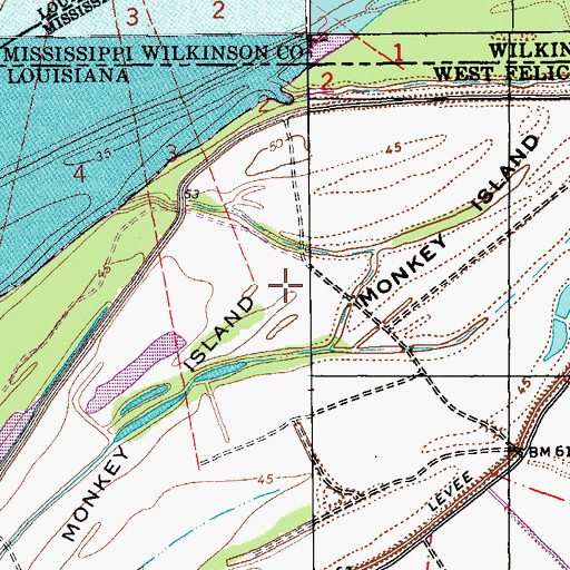Topographic Map of Monkey Island, LA