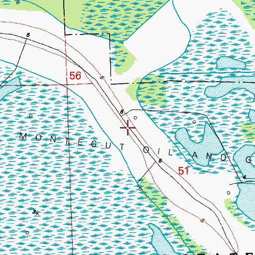 Topographic Map of Montegut Oil and Gas Field, LA