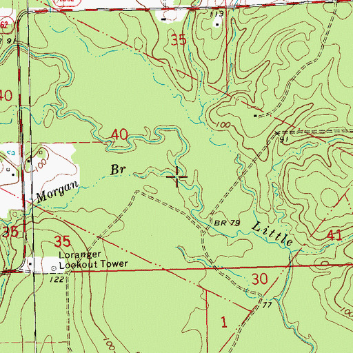 Topographic Map of Morgan Branch, LA