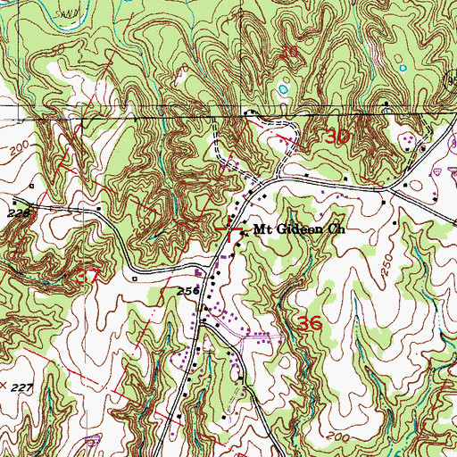 Topographic Map of Mount Gideon Church, LA