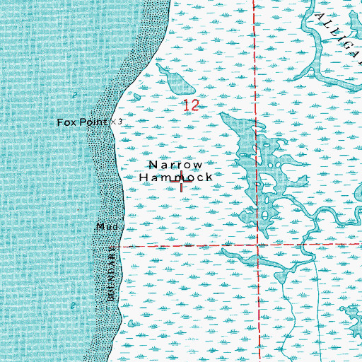 Topographic Map of Narrow Hammock, LA