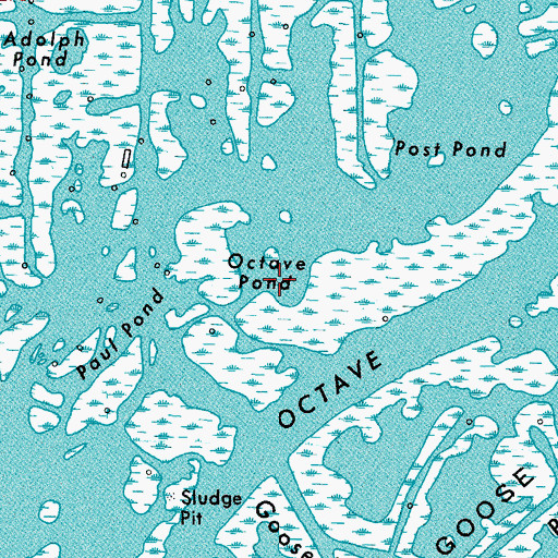 Topographic Map of Octave Pond, LA