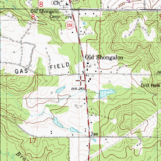 Topographic Map of Old Shongaloo, LA