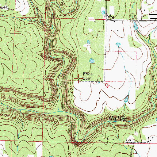 Topographic Map of Price Cemetery, AR