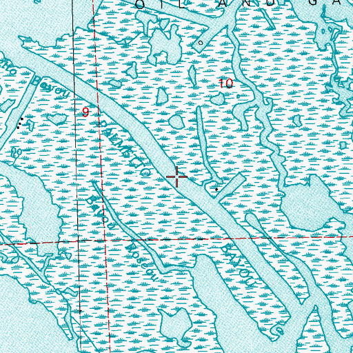Topographic Map of Palmetto Bayou, LA