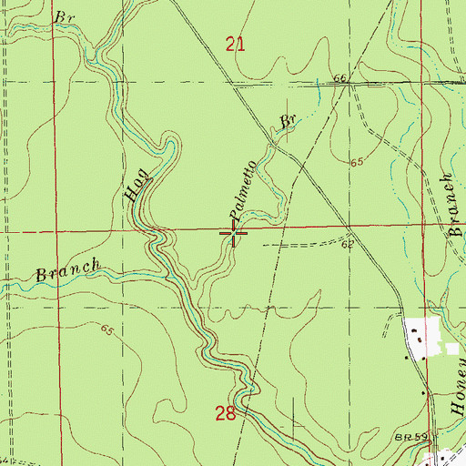 Topographic Map of Palmetto Branch, LA