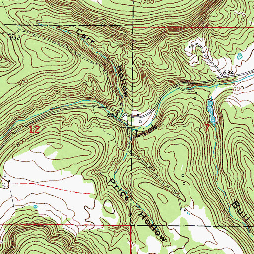 Topographic Map of Price Hollow, AR