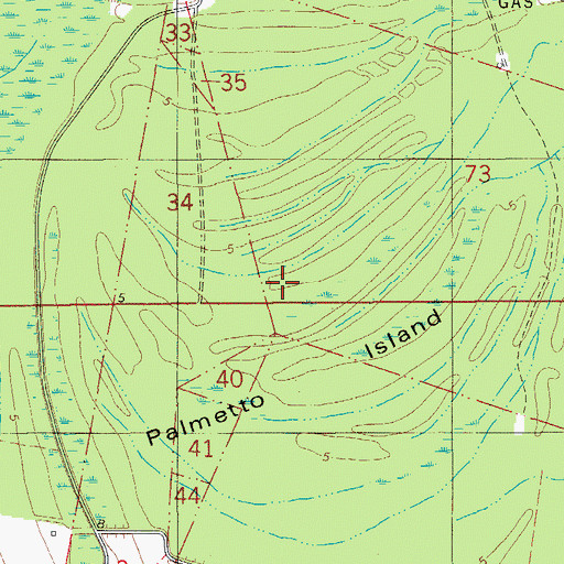 Topographic Map of Palmetto Island, LA