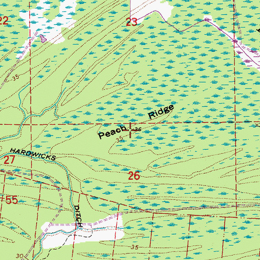 Topographic Map of Peach Ridge, LA