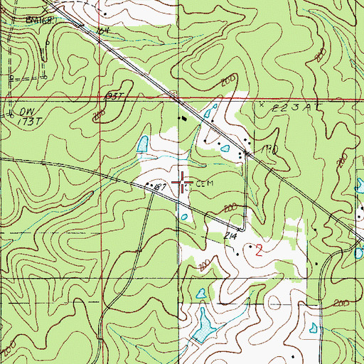 Topographic Map of Pearson Cemetery, LA