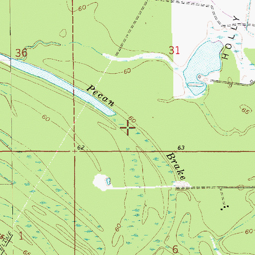 Topographic Map of Pecan Brake, LA