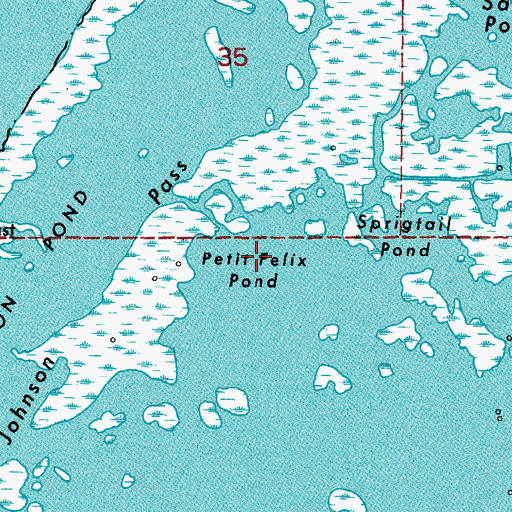 Topographic Map of Petit Felix Pond, LA