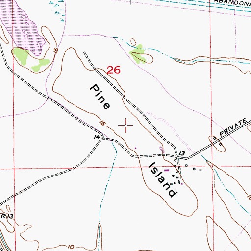 Topographic Map of Pine Island, LA