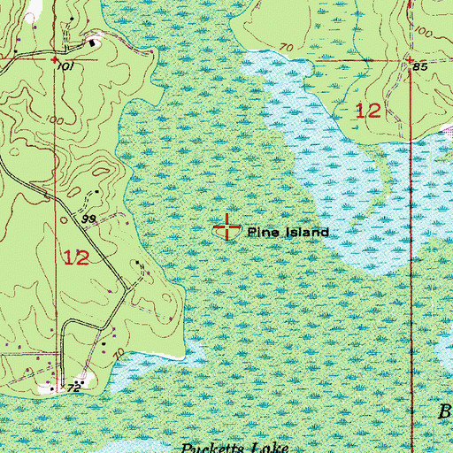 Topographic Map of Pine Island, LA