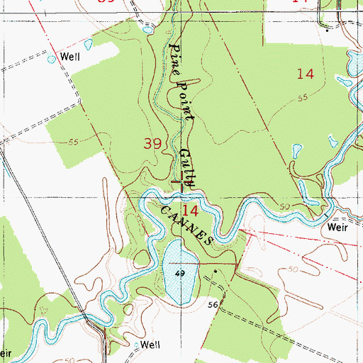 Topographic Map of Pine Point Gully, LA