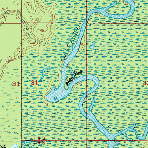 Topographic Map of Point Fing, LA