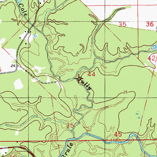 Topographic Map of Prather Gully, LA