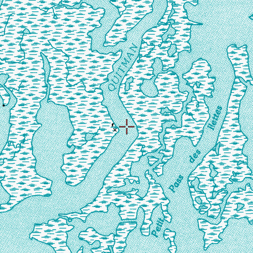 Topographic Map of Quitman Bayou, LA