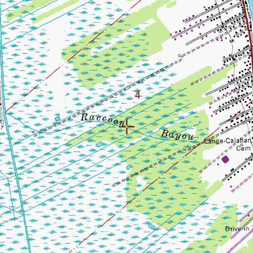Topographic Map of Raccoon Bayou, LA
