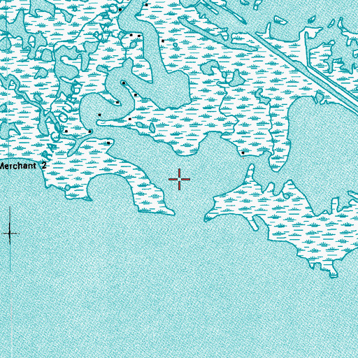 Topographic Map of Raccourci Bayou, LA