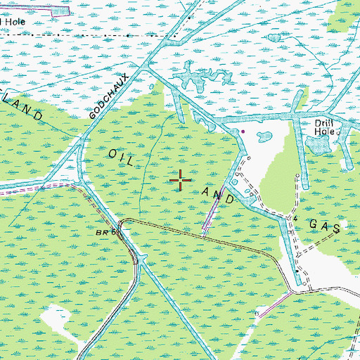 Topographic Map of Raceland Oil and Gas Field, LA