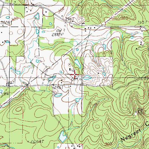 Topographic Map of Randolph Cemetery, LA