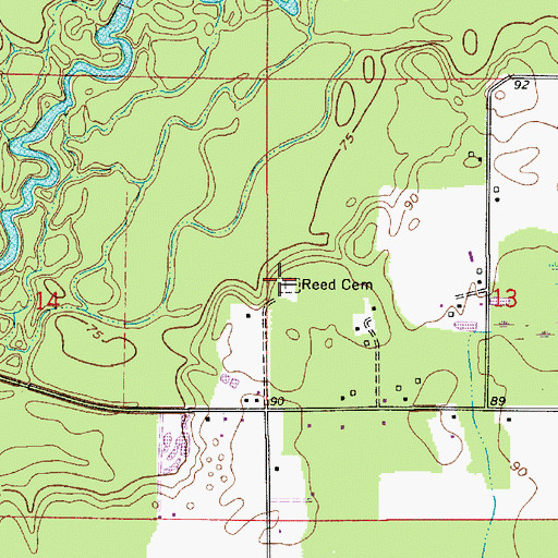 Topographic Map of Reed Cemetery, LA
