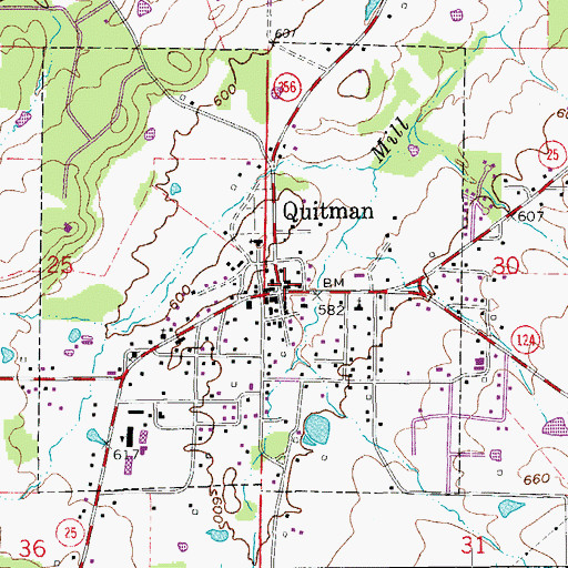 Topographic Map of Quitman, AR