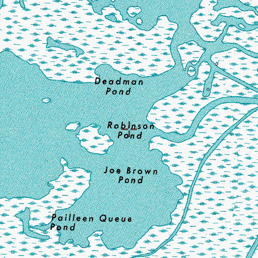 Topographic Map of Robinson Pond, LA