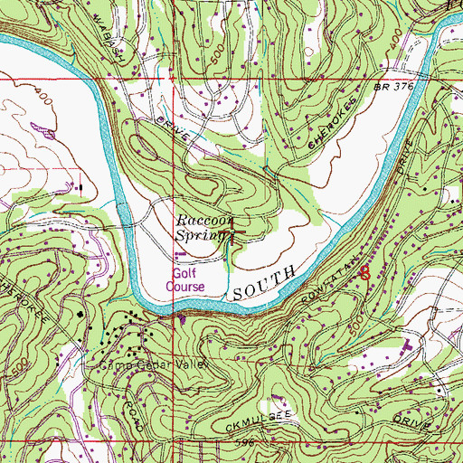 Topographic Map of Raccoon Spring, AR