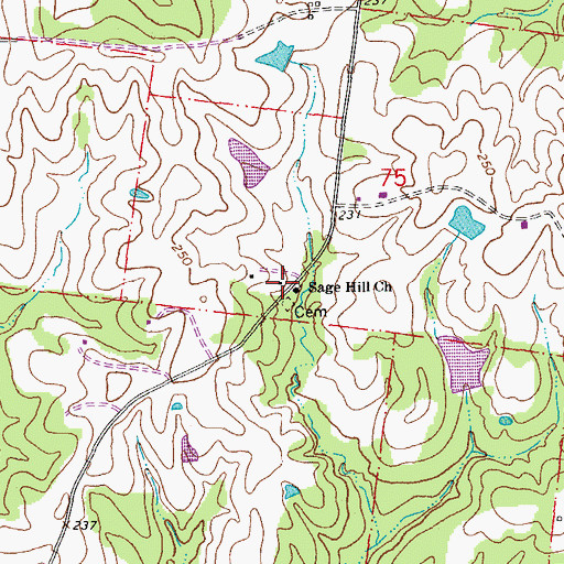 Topographic Map of Sage Hill Church, LA
