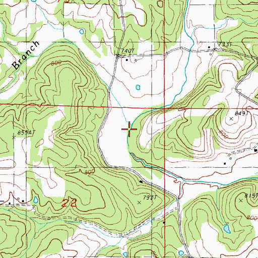 Topographic Map of Raney Branch, AR