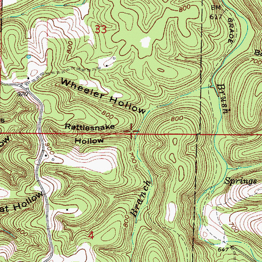 Topographic Map of Rattlesnake Hollow, AR